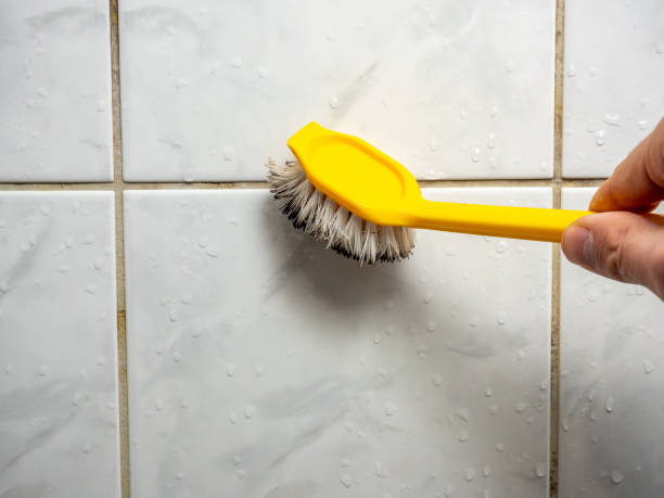 Best Post-Remediation Services in Succasunna, NJ