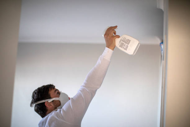 Best Basement Mold Remediation in Succasunna, NJ