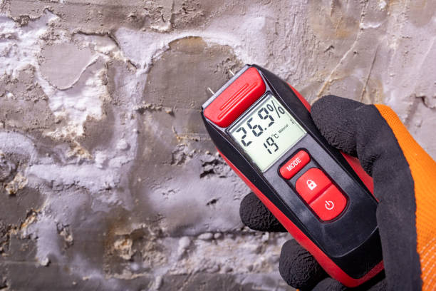 Best Mold Remediation for Schools in Succasunna, NJ